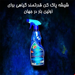 شیشه پاک کن